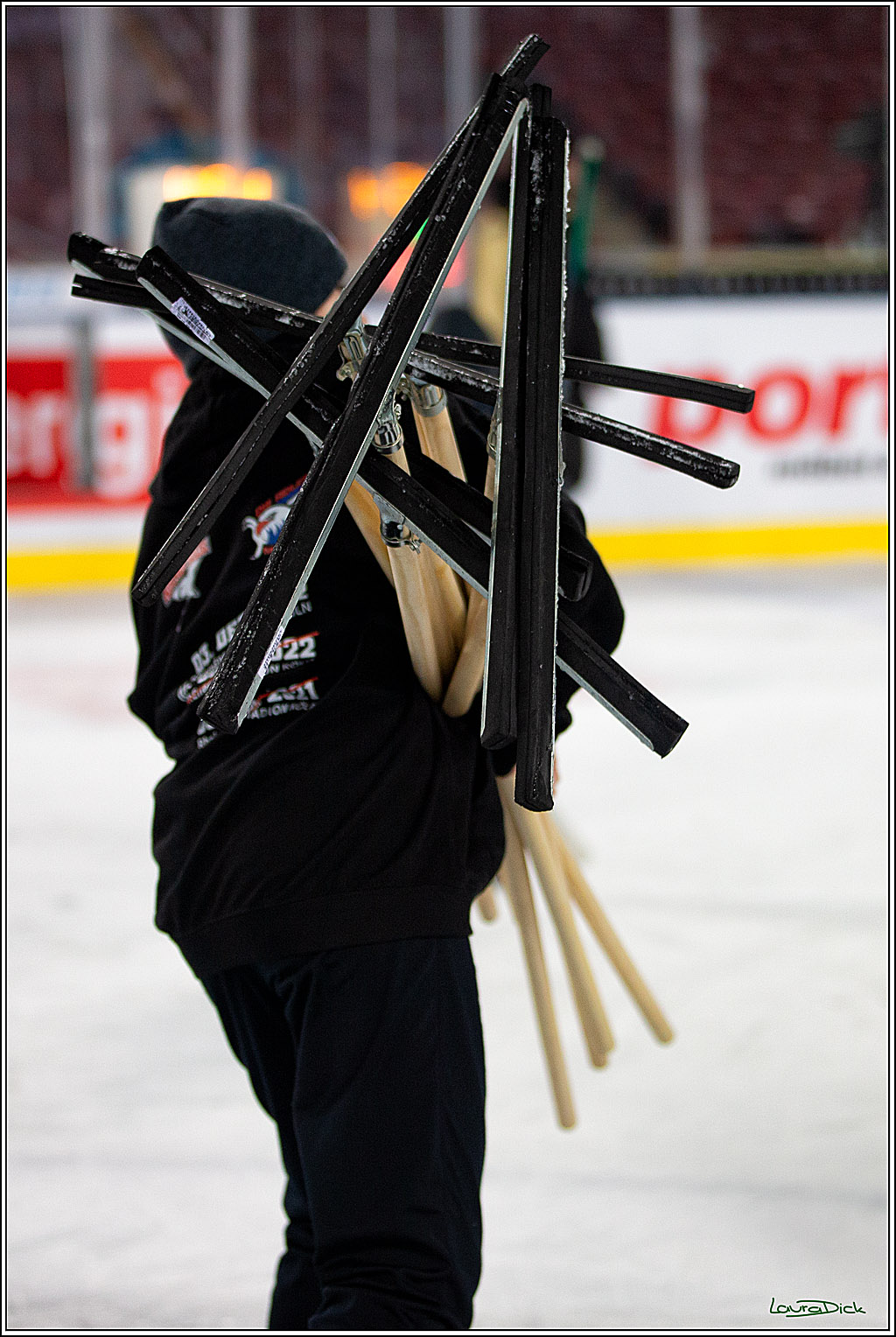 PENNY DEL; Koelner Haie- Augsburger Panther; Koeln, 08.01.2023